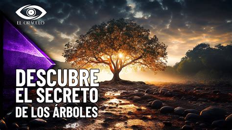 El Significado de los Árboles y las Pupas en un Sueño